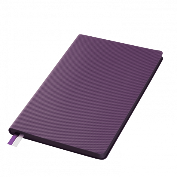 Ежедневник Rain недатированный, фиолетовый 