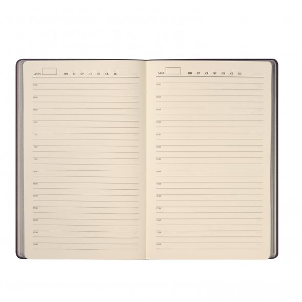 Ежедневник Rain недатированный, фиолетовый 