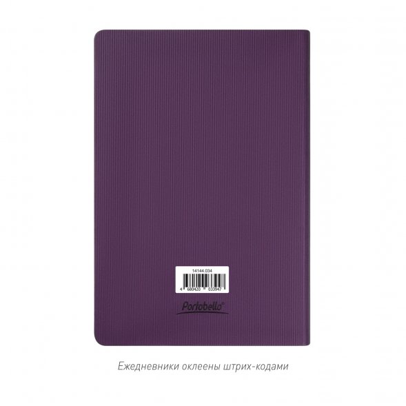 Ежедневник Rain недатированный, фиолетовый 