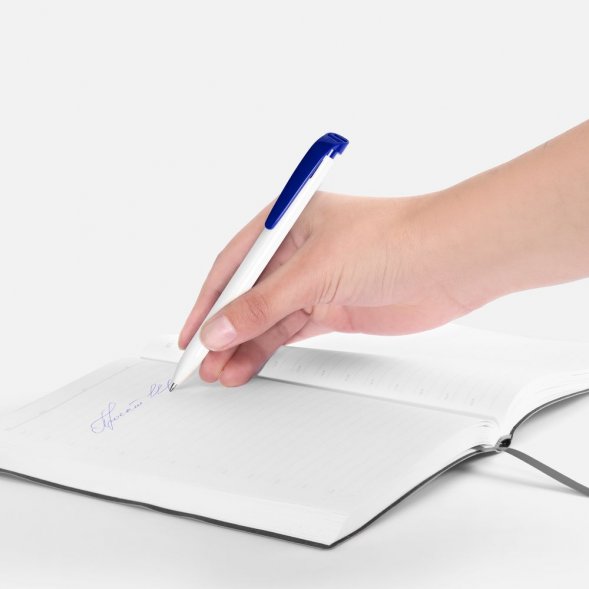 Ручка шариковая Favorite, белая с синим 