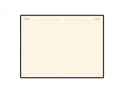 Ежедневник недатированный А5 Megapolis, красный