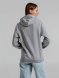 Толстовка с капюшоном Snake II серый меланж 