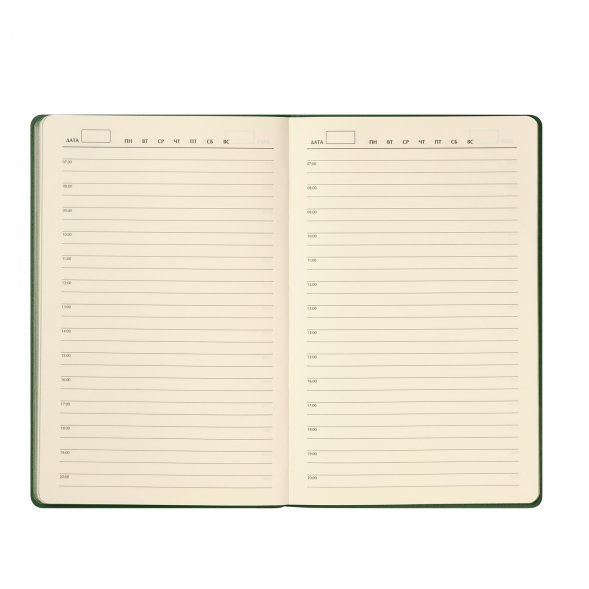 Ежедневник Rain недатированный, зеленый 