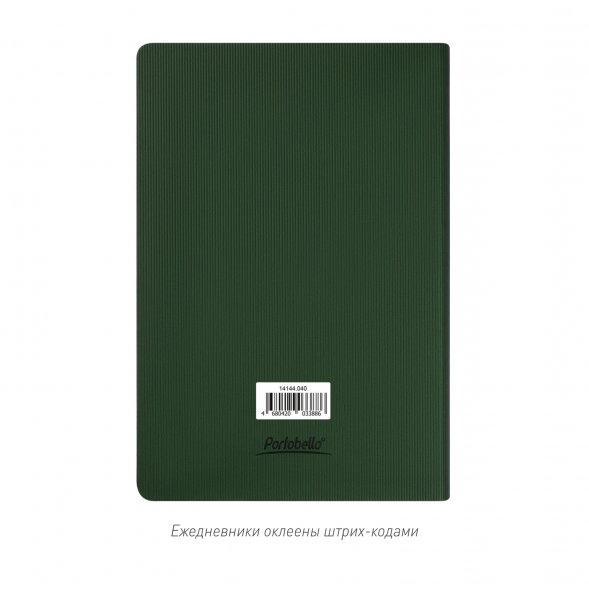 Ежедневник Rain недатированный, зеленый 