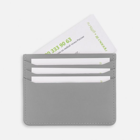 Чехол для карт Alaska, серый 