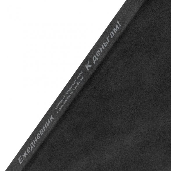 Ежедневник «Финансовая грамотность», недатированный, черный 