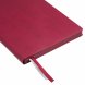 Ежедневник Rain недатированный, бургунди 