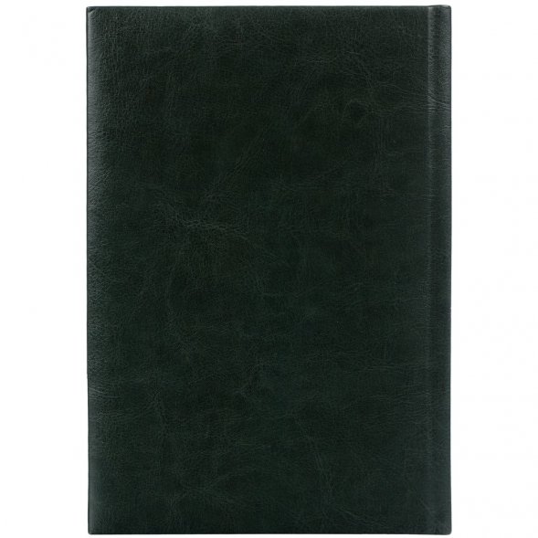 Ежедневник Baza, датированный, зеленый 