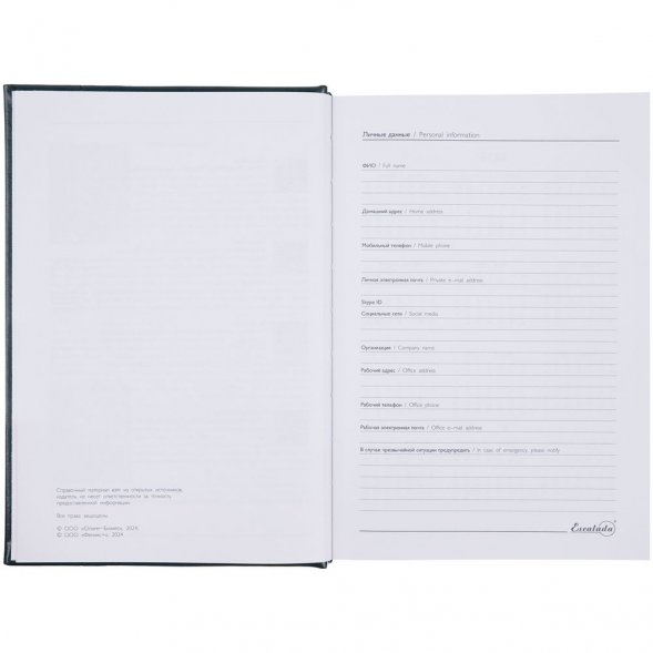 Ежедневник Baza, датированный, зеленый 