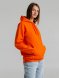 Толстовка с капюшоном Snake II оранжевая 