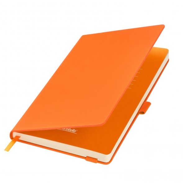Ежедневник Alpha недатированный, оранжевый/оранжевый 