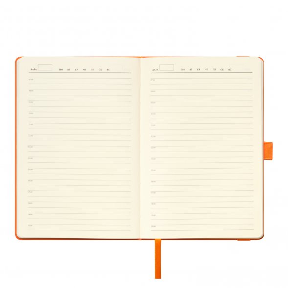 Ежедневник Alpha недатированный, оранжевый/оранжевый 