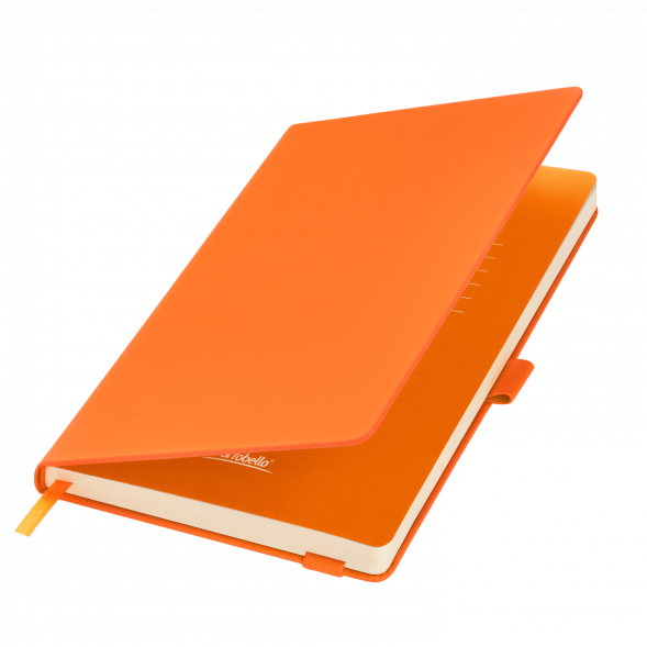 Ежедневник Alpha недатированный, оранжевый/оранжевый 