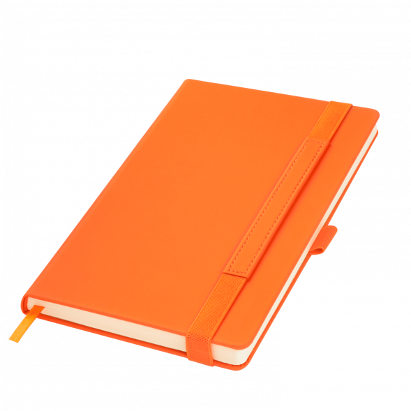 Ежедневник Alpha недатированный, оранжевый/оранжевый 