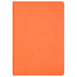 Ежедневник Rain недатированный, оранжевый