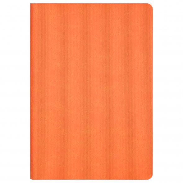 Ежедневник Rain недатированный, оранжевый 