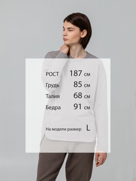 Футболка с длинным рукавом Kosmos 1.0, серая 