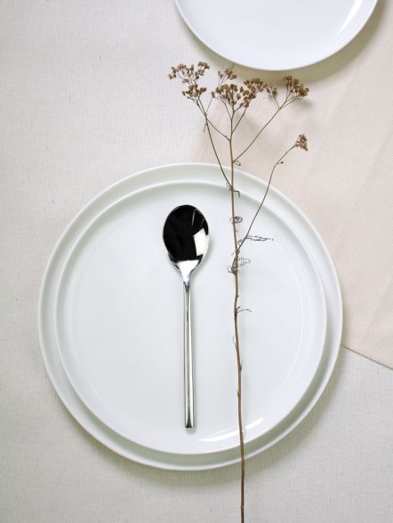 Набор из 6 столовых ложек Galateo 