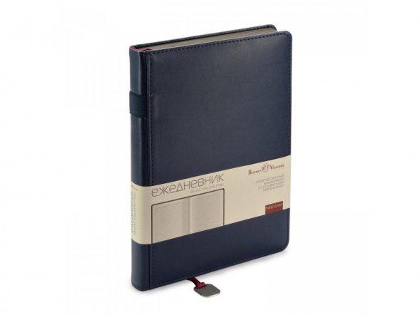 Ежедневник А5 недатированный Polo, синий 