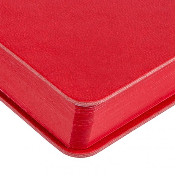 Ежедневник Flexpen Color, датированный, красный 