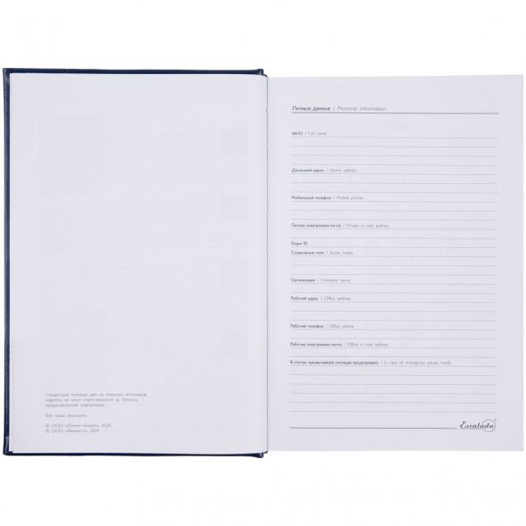 Ежедневник Baza, датированный, синий 