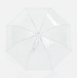 Прозрачный зонт-трость Clear