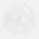 Прозрачный зонт-трость Clear 