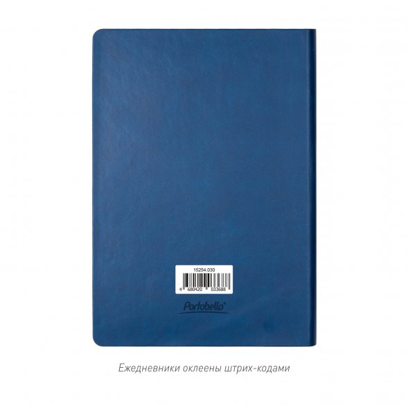 Ежедневник Latte NEW недатированный, синий/голубой 