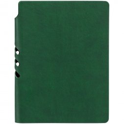 Ежедневник Flexpen Color, датированный, зеленый