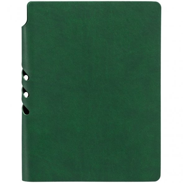 Ежедневник Flexpen Color, датированный, зеленый 