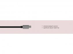 Rombica Type-C Station, серебристый