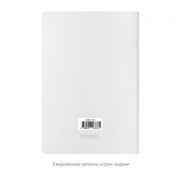 Ежедневник River side недатированный, белый (без упаковки, без стикера) 