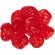 Вишня Cherry Lady 