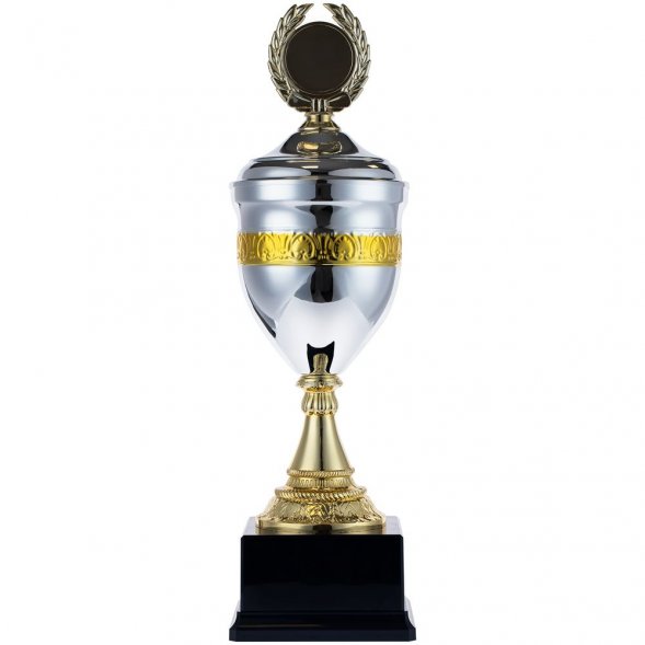 Кубок EnterPrize, серебристый 