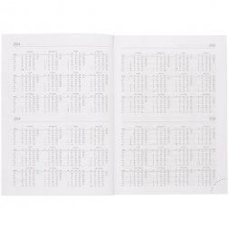 Ежедневник Brand, недатированный, оранжевый