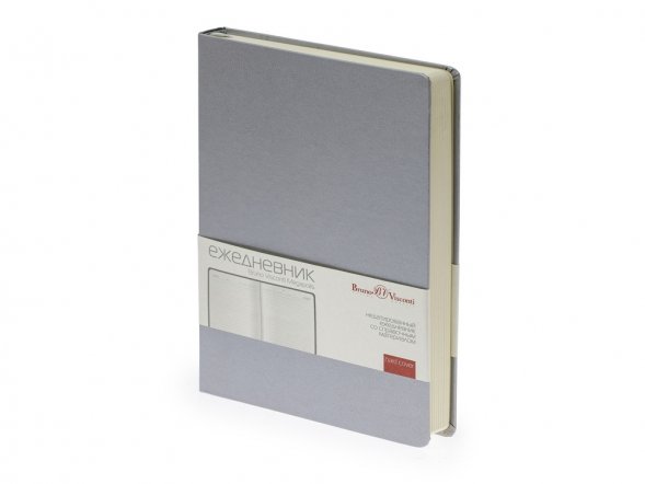 Ежедневник недатированный А5 Megapolis, серебристый 
