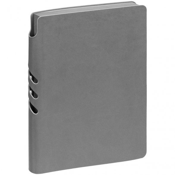 Ежедневник Flexpen Color, датированный, серый 