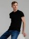 Футболка мужская Regent Fit 150, черная 
