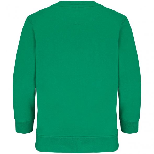 Свитшот детский Columbia Kids, ярко-зеленый 