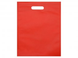 Сумка для выставок Prime, красный