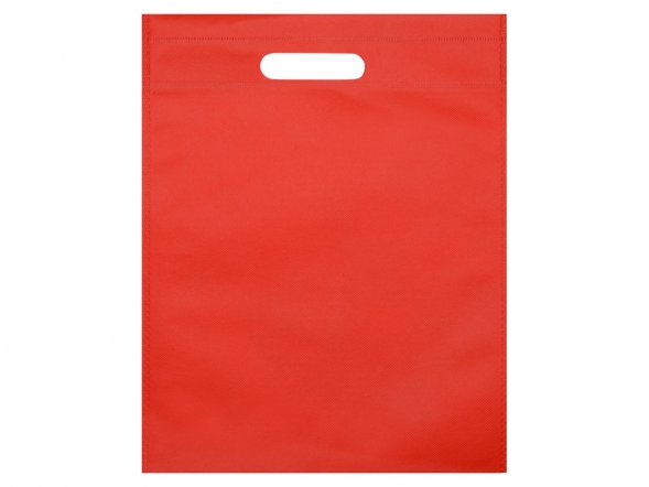 Сумка для выставок Prime, красный 