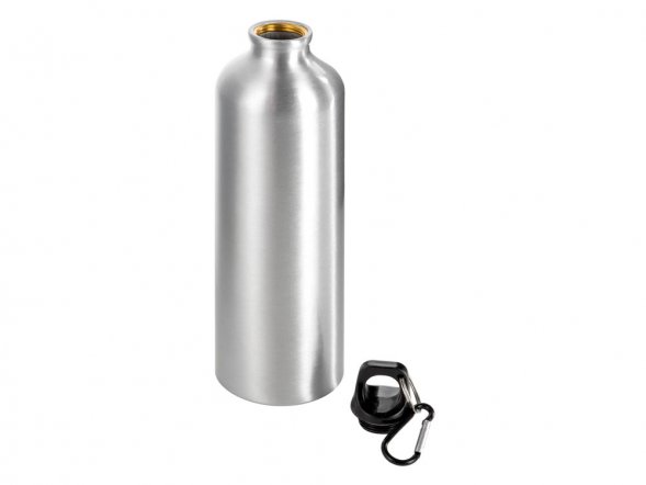 Бутылка Hip M с карабином, 770 мл, серебристый 