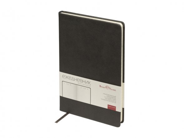 Ежедневник недатированный А5 Loft, серый 