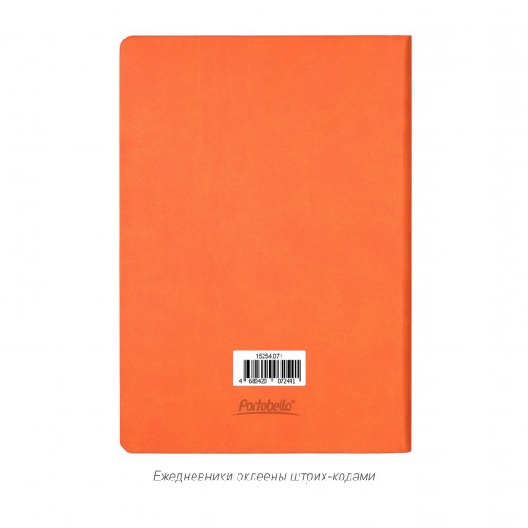 Ежедневник Latte NEW недатированный, оранжевый/оранжевый 