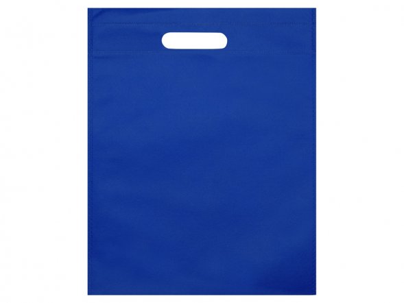 Сумка для выставок Prime, ярко-синий 