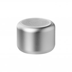 Беспроводная колонка Passion 80dB 600 mAh, серебряная