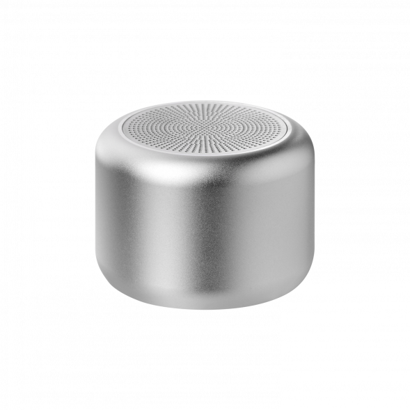 Беспроводная колонка Passion 80dB 600 mAh, серебряная 