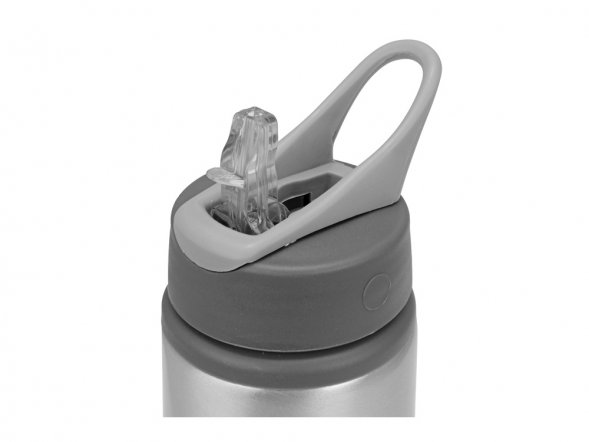 Бутылка для воды Rino 660 мл, серебристый 