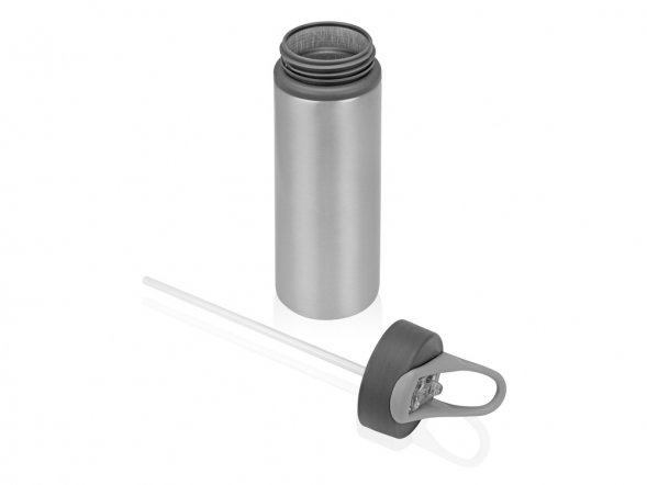 Бутылка для воды Rino 660 мл, серебристый 