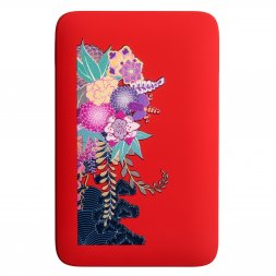 Внешний аккумулятор с подсветкой Ancor 5000 mAh, красный Аист